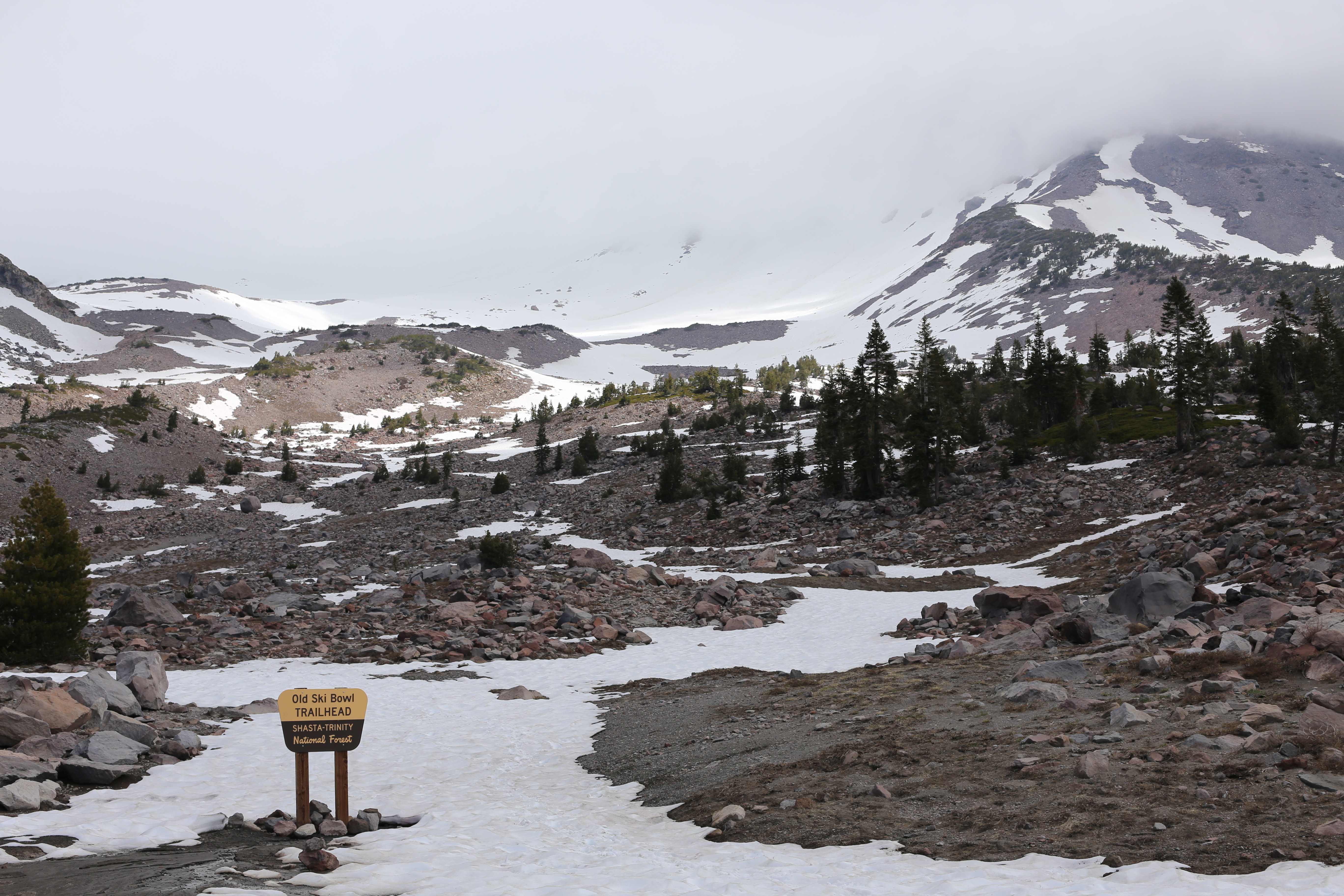 Snow-covered path leading to a trailhead sign at the edge of Mt Shasta's snowfield with the mountain's slopes rising under overcast skies