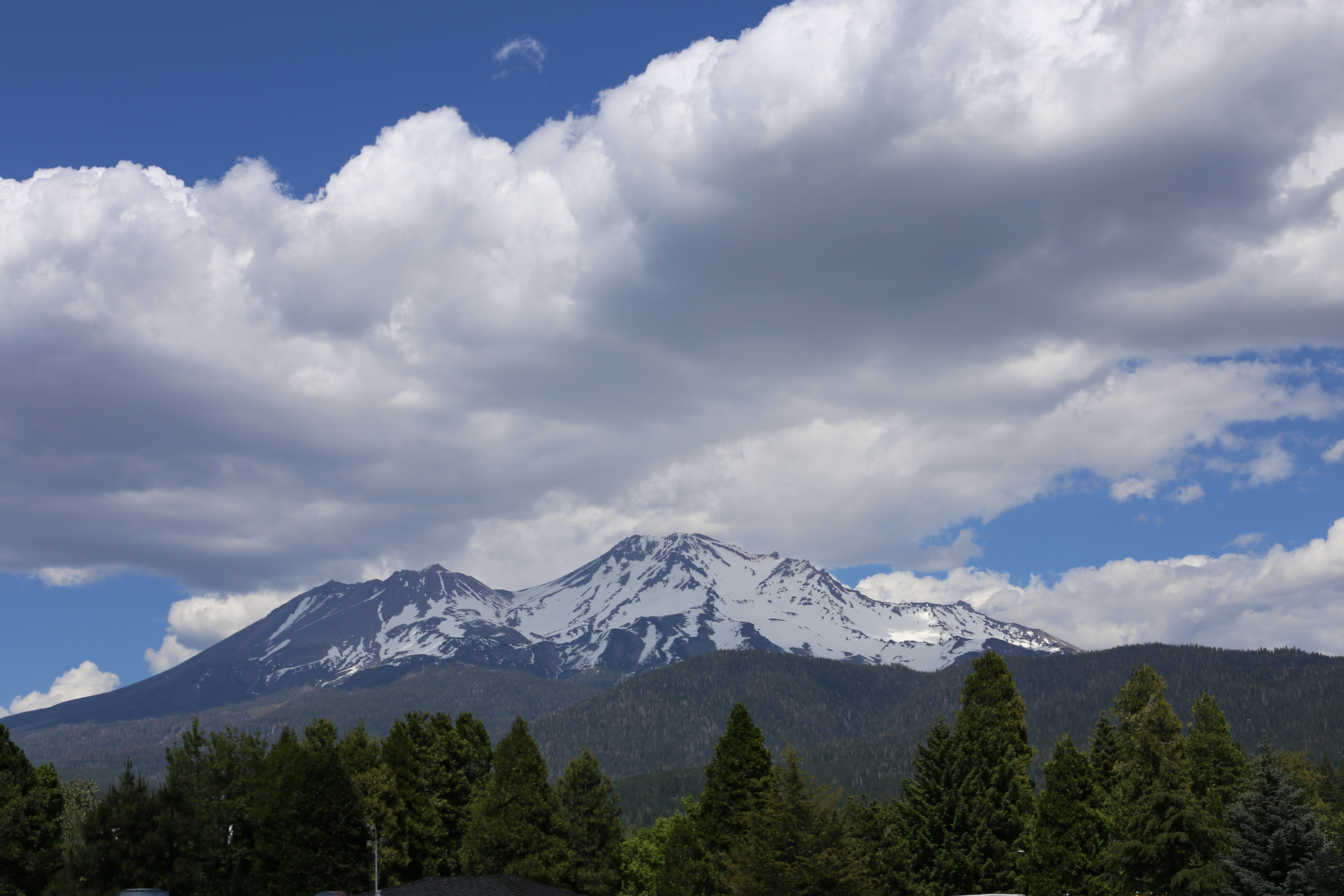 Snow-capped Mt Shasta rising above a conifer treeline with large puffy clouds in a blue sky